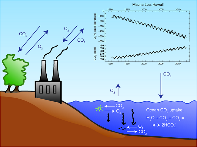 o2 co2 graphic