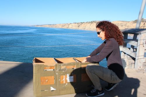 SIO pier sampling SIO pier sampling
